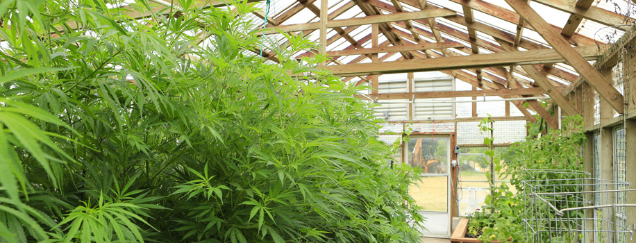 Security Solutions for Apartments in Bedford , VA